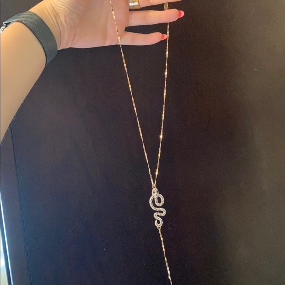 Long Snake Necklace